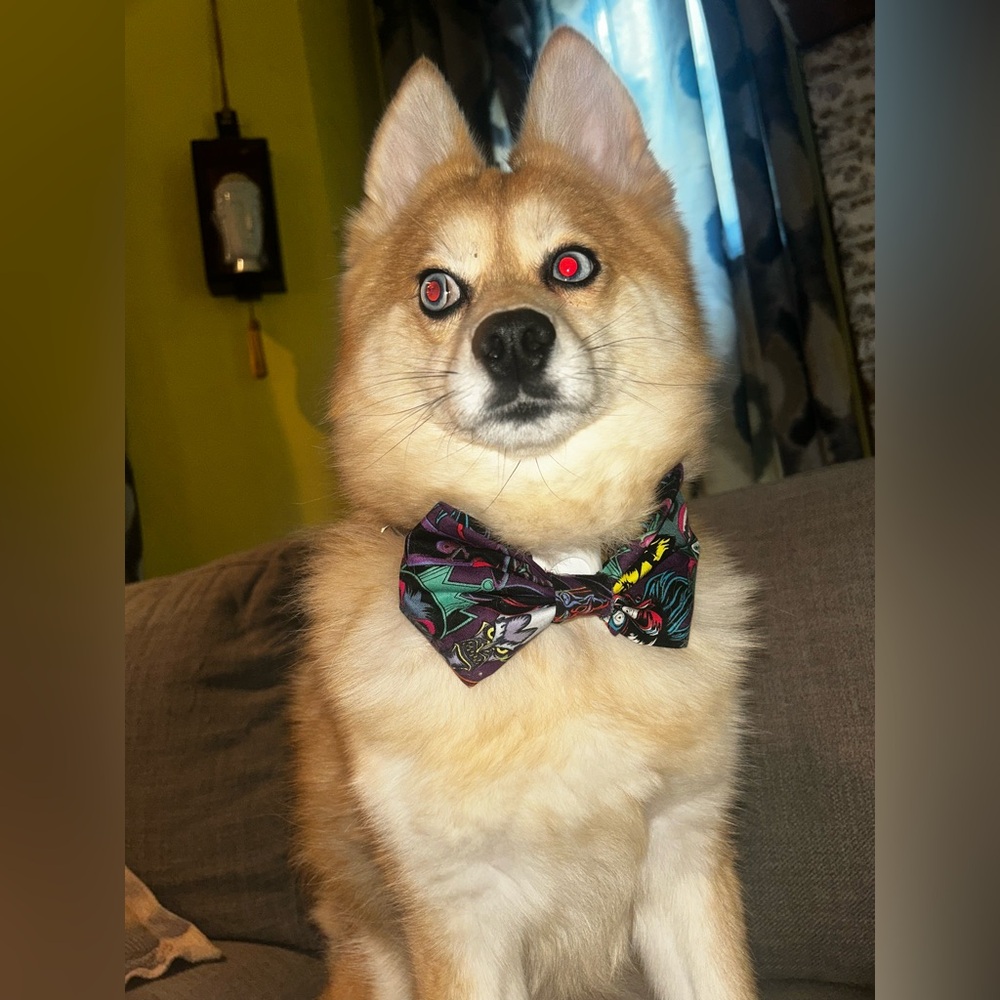 Beautiful Disney Villians Dog Bow Tie